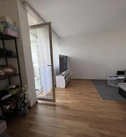 Iseini Apartment Basel